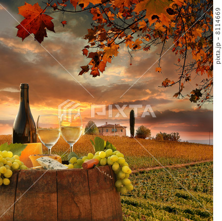 White wine with barrel on vineyard in Chianti, Tuscany, Italy 8114669