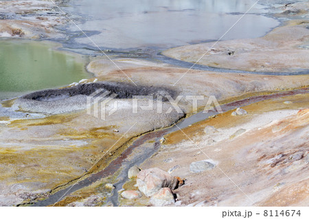 カラフルな間欠泉　ラッセン火山国立公園 8114674