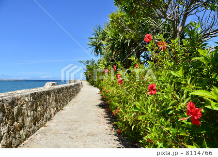 三重城 三重城 8114766