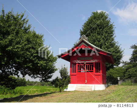 さいたま市見沼区の見沼弁財天 さいたま市見沼区の見沼弁財天 8114813