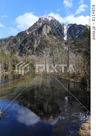 上高地　岳沢湿原　五月 8114858