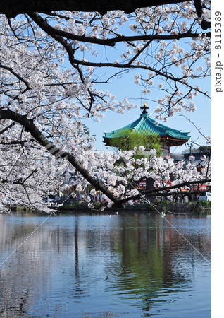 上野恩賜公園 上野恩賜公園 8115389