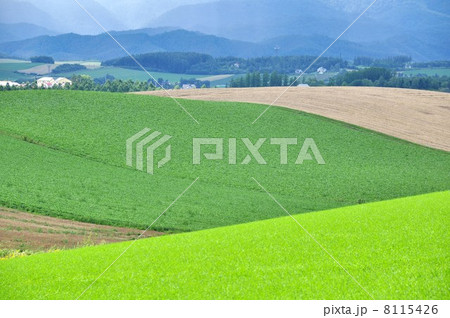 美瑛の丘　パッチワーク 8115426