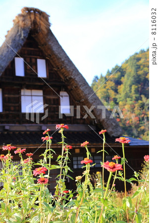 合掌造り　五箇山 8116032