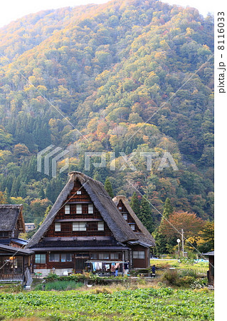 合掌造り　五箇山 8116033