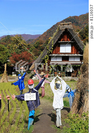 合掌造り　白川郷 8116037