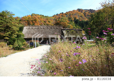 白川郷 和田家 白川郷 和田家 8116038