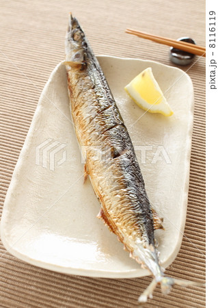 サンマの塩焼き サンマの塩焼き 8116119