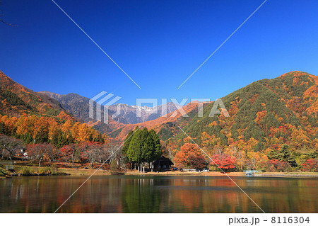 中央アルプスの紅葉 8116304