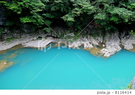 抱返渓谷の水面 8116414