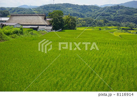 茅葺と田園風景 8116914