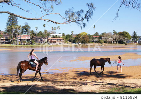 乗馬をする若い女性二人 8116924