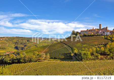 Small italian town on the hill with vineyards. 8117219