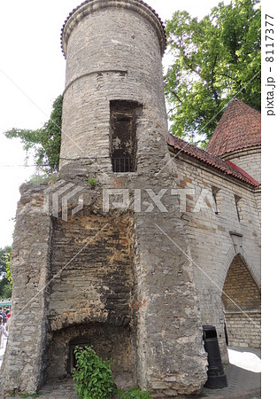 世界遺産タリン 8117377