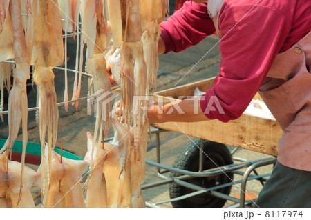 イカ 干物 一夜干し イカ 干物 一夜干し 8117974