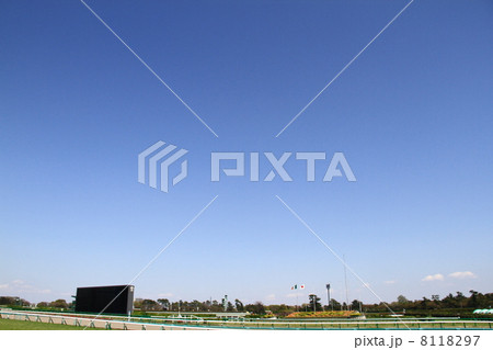 中山競馬場 中山競馬場 8118297