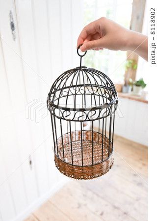 鳥かご 8118902