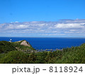 積丹半島 8118924
