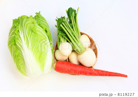 新鮮野菜 新鮮野菜 8119227