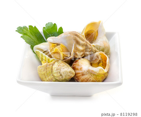 Sea shells with herbs on a white background Sea shells with herbs on a white background 8119298