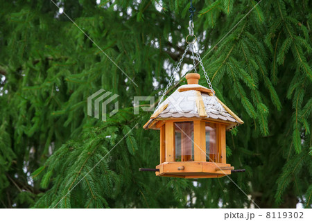 Bird feeders in the winter. 8119302