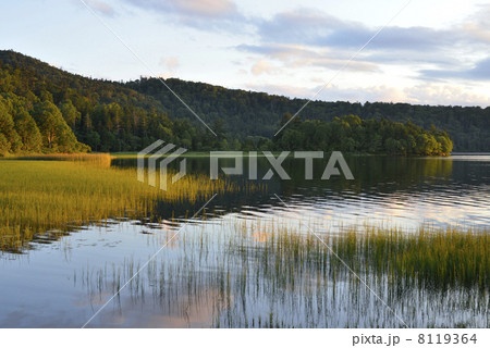 夕暮れの尾瀬沼 8119364