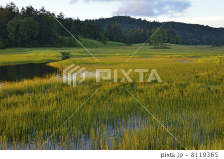 夕暮れの尾瀬沼 8119365