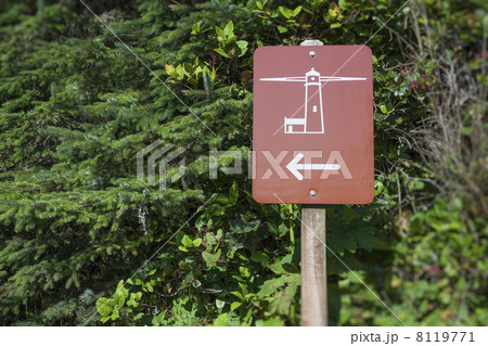 Sign pointing to lighthouse Sign pointing to lighthouse 8119771