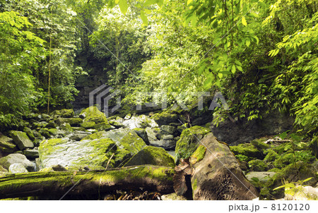 Limestone blocks part of the Hollin Formation beside a rainforest river in the Ecuadorian Amazon Limestone blocks part of the Hollin Formation beside a rainforest river in the Ecuadorian Amazon 8120120