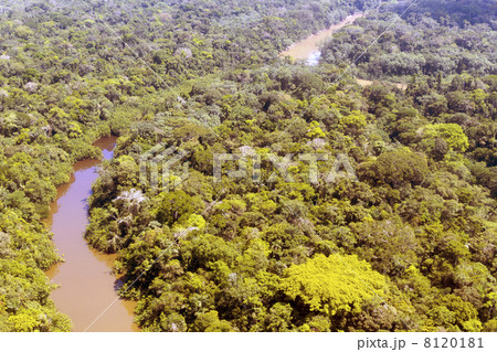 Aerial view of Amazon Rainforest 8120181