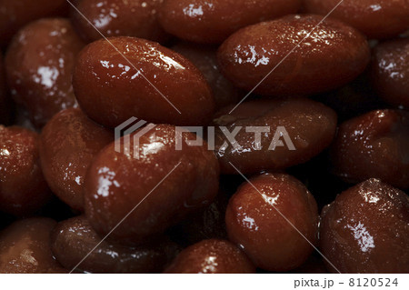 ウズラ豆の煮物 ウズラ豆の煮物 8120524