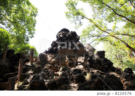 鳩森八幡神社 鳩森八幡神社 8120576