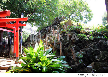 鳩森八幡神社 8120578