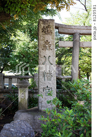 鳩森八幡神社 鳩森八幡神社 8120581