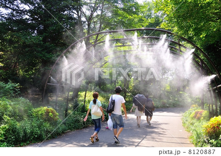 ドライアイスのトンネル 8120887