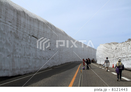 立山　雪の大谷 8121443