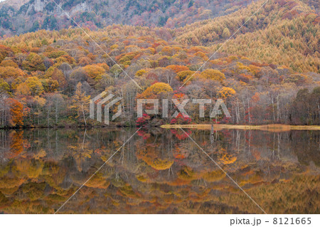 戸隠高原鏡池の紅葉 8121665