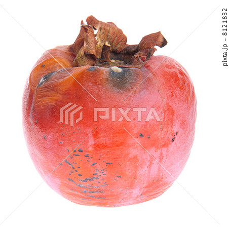 Persimmon 8121832