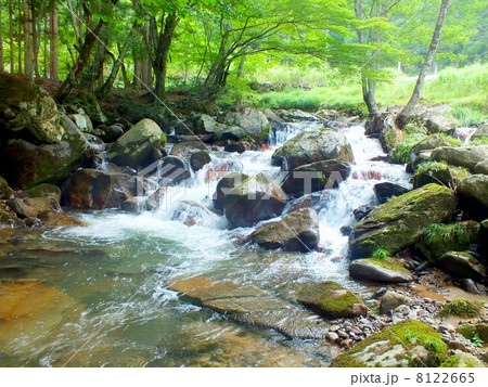 千種川の清流 8122665