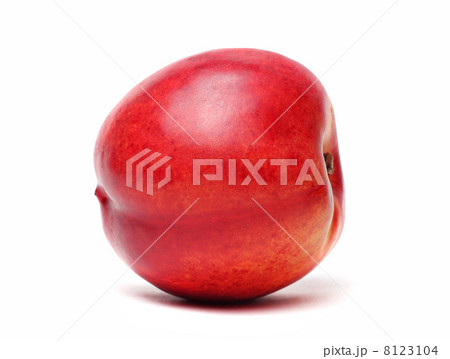 Single nectarine isolated 8123104