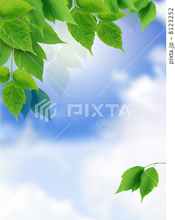 Green Leaves Border 8123252