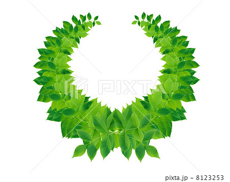Green Leaves Wreath 8123253