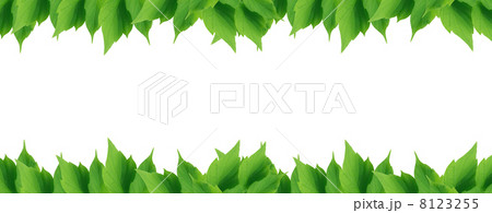 Green Leaves Border 8123255