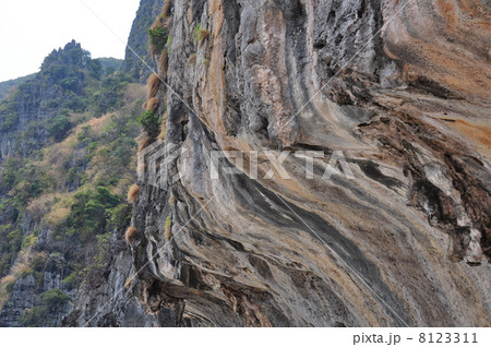 マヤベイ マヤベイ 8123311