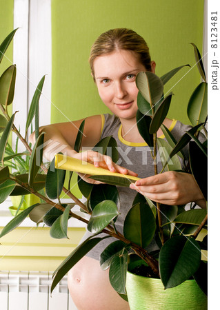 Cute Pregnant Woman On Kitchen Cute Pregnant Woman On Kitchen 8123481