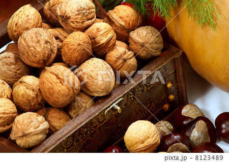 Chest with walnuts Chest with walnuts 8123489