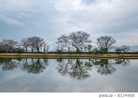 修学院離宮　上離宮　西浜 8124988