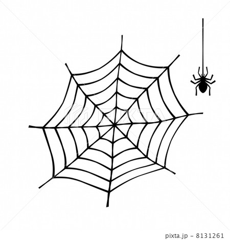 クモの巣と蜘蛛のイラスト素材