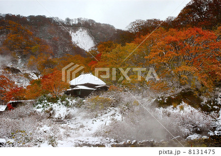 紅葉と雪の黒湯温泉 8131475
