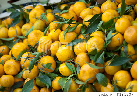 tangerine 8131507